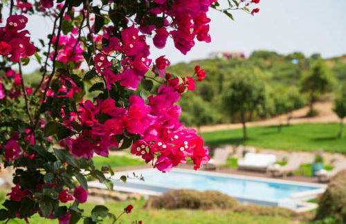 North Sardinia Retreats Stazzo Liccia Barria - villa con piscina - Photo 7