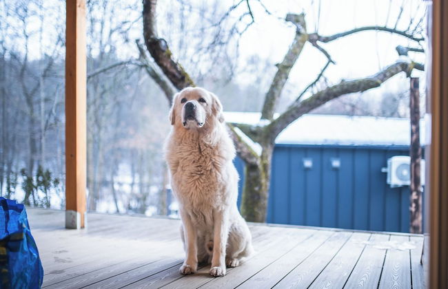 Stare Sady Kopytówka - Photo 51
