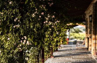 QUINTA DA FAÍSCA - Agro Turismo - Foto 27