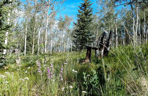 Charming Vacation Rental in the Heart of South Park near Fairplay, Colorado - Foto 8