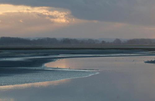 La Baie l étoile - Foto 24