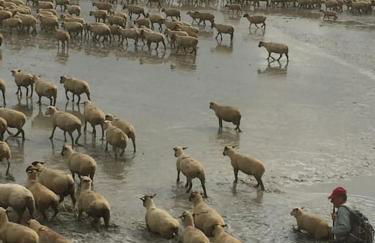 AUTHENTIQUE MAISON DE PECHEUR ENTRE-TERRE & MER Avec Un POÊLE À BOIS A Disposition - Foto 31
