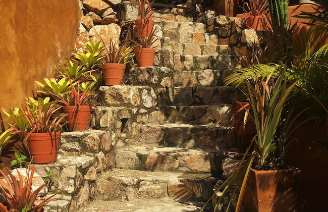 Casitas Del Mar Sayulita - Foto 31