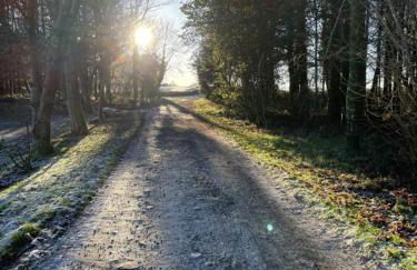 Wrens nest - Foto 21