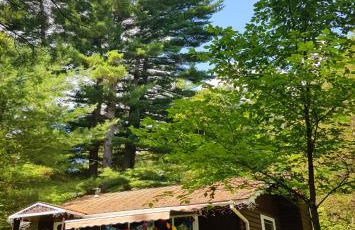 The Wilderness Inn: Chalets - Foto 10