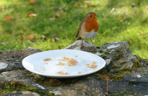 Belle longère en campagne à Larmor Baden - Foto 6