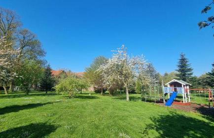 Gutshof Kämmerich - Fewo Storchennest - Foto 30