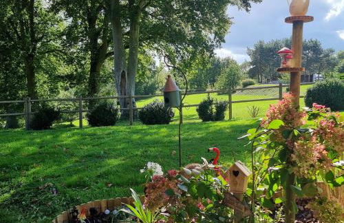 Le terrier aux merveilles - Foto 18