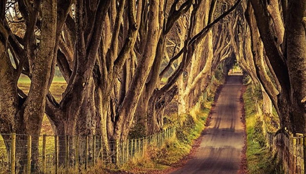 2 días / 1 noche: Belfast, Juego de Tronos y Calzada del Gigante - Foto 5