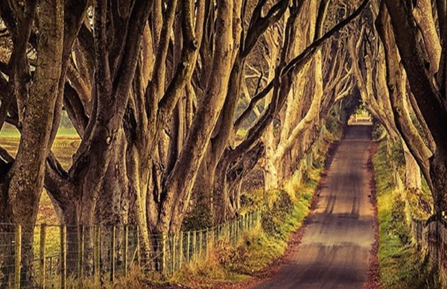 2 días / 1 noche: Belfast, Juego de Tronos y Calzada del Gigante - Foto 5