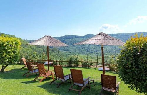 Holiday house with a swimming pool Draguc, Central Istria - Sredisnja Istra - 25162 - Foto 9