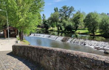 Pomar das Oliveiras - Private Swimming pool - Free EV Chrg - Pet Friendly - Foto 62