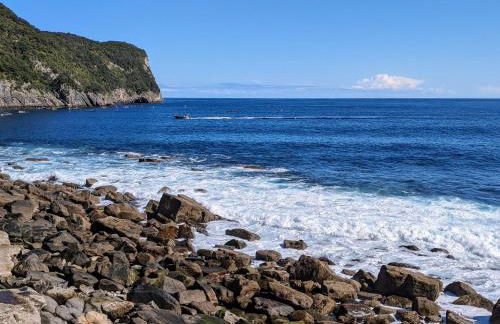 Elantxobe Plaza VT - Foto 27