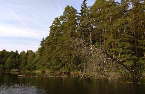 Dom Suwalszczyzna - Photo 25