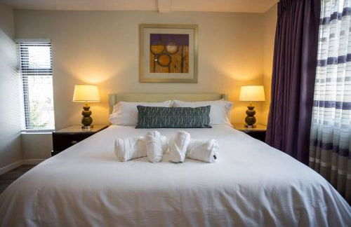 Spacious 500 sqft Studio with Balboa Park View - Foto 8