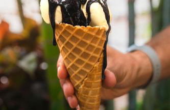 Marinell Collection Palm-Mar - Foto 72