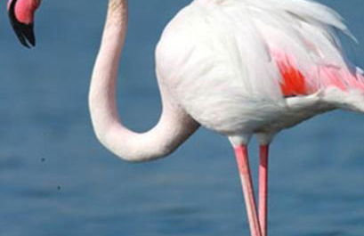 Vientos y Mares - Foto 26