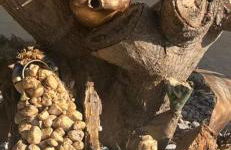 Dionisia Apartments - Foto 14