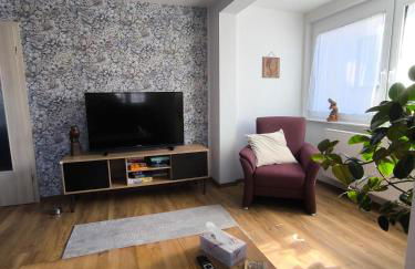 Ferienwohnung Schelklewiese - Photo 17