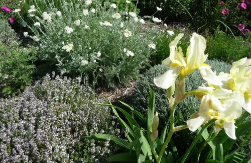 Le Mille Fleurs - Foto 28