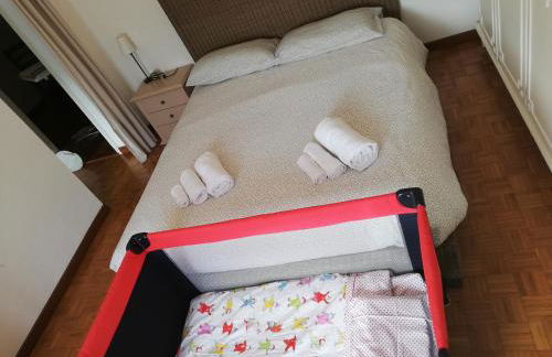 I tulipani - Foto 26