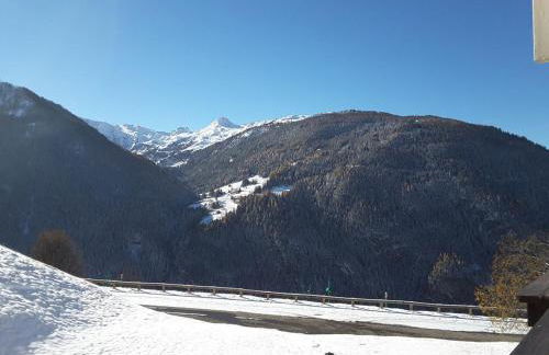 Paradiski calme et ensoleillé plan peisey - Foto 13