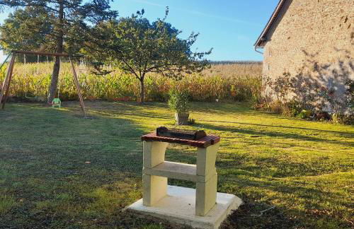 Gite les Vignes du Château - 30 min Beauval - Foto 11