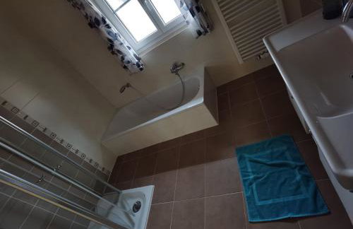 Niedergerner Alpaka Ranch Groß - Foto 3