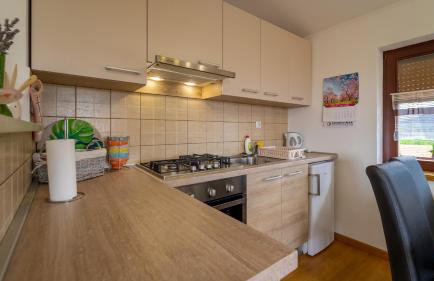 Apartman Suhi vrh - Foto 14