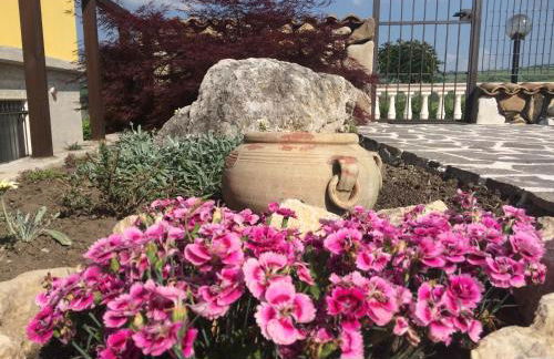 Agriturismo I Tre Ulivi - Foto 84