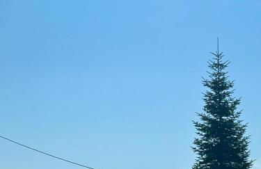 Daisy House Golden Beach Area - Foto 19