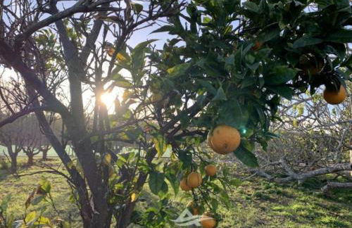 Holiday Home Schönes Landhaus mit Tauchbecken- Strand 3km by Interhome - Foto 20