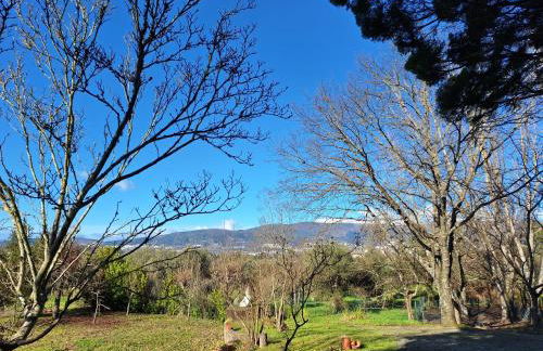 Quinta da Portela - Foto 46