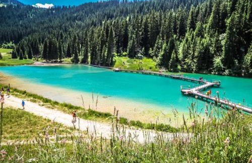 Courchevel N 5 - Foto 12