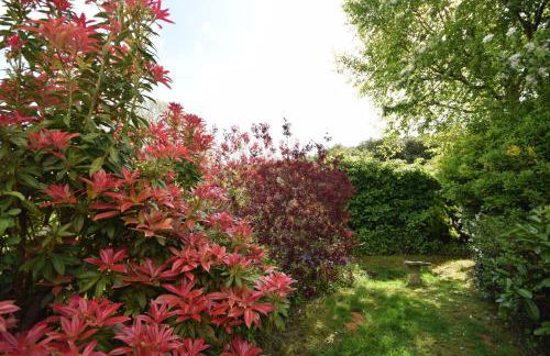 Birch End, Midhurst - Foto 24