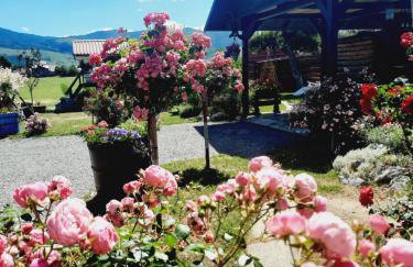 Kuća za odmor Delak - Foto 34