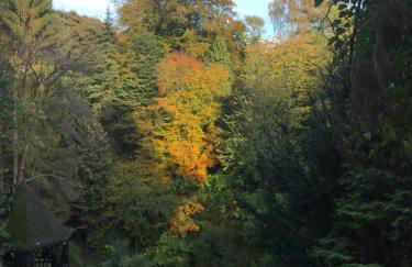 Millhill St Dunfermline - Foto 25