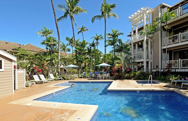 Grand Champions by VTrips II - Foto 17