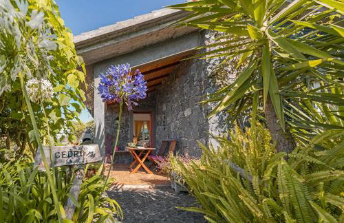 Quinta Devónia III - Nogueira by An Island Apart - Foto 15