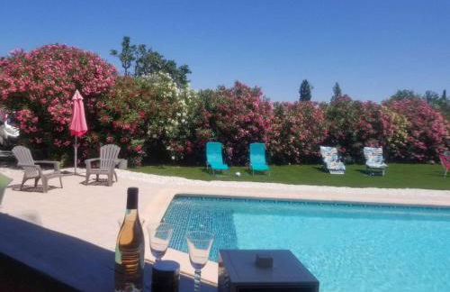 Le gite aux oliviers - Foto 23