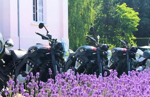 Ostsee-Gutshaus Am Salzhaff Pepelow nähe Rerik- am Meer residieren! - Foto 57