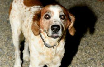 Agriturismo La Casuccia - Foto 74