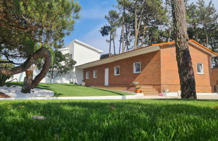 Pinheiro Manso - Foto 36