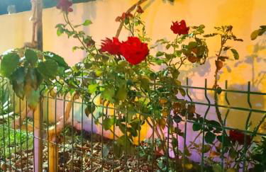 Casa Cristal - Foto 7