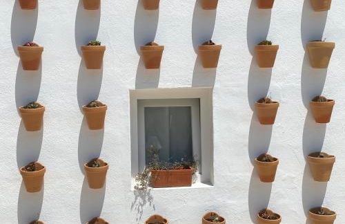 Apartamentos Sureda - Photo 8