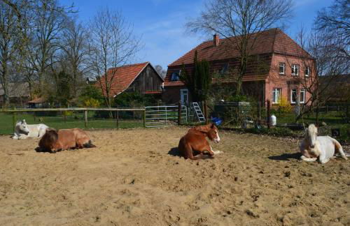 Ferienwohnung Noltenius - Foto 16