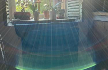 L'instant présent - Foto 47