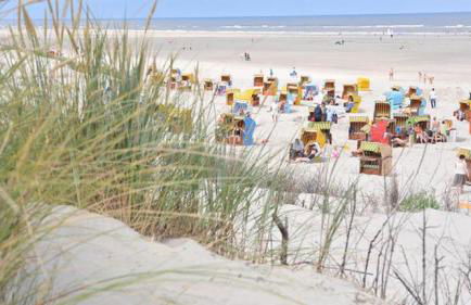 Dünenmeer - Photo 10