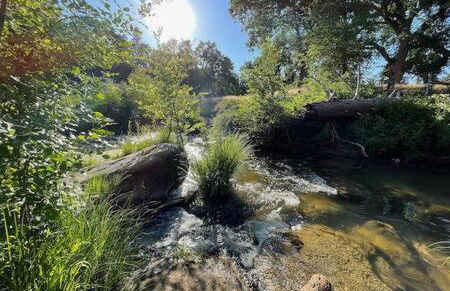 Creekside Suite Sleeps 2 Creek frontage Bbq - Foto 17