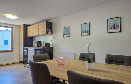 T2 moderne & cocooning au cœur de Bourgoin-Jallieu - Foto 8